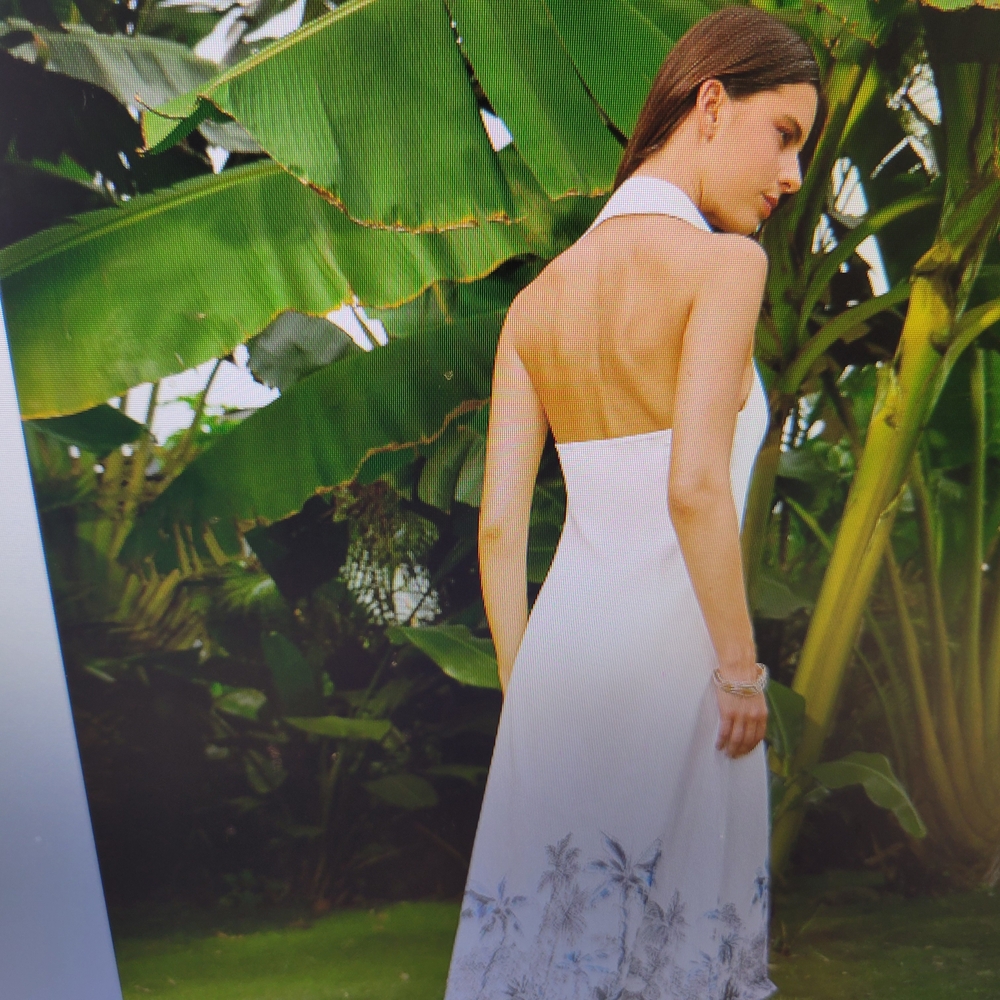 Commense White and Blue Maxi Dress - Picture 4 of 10